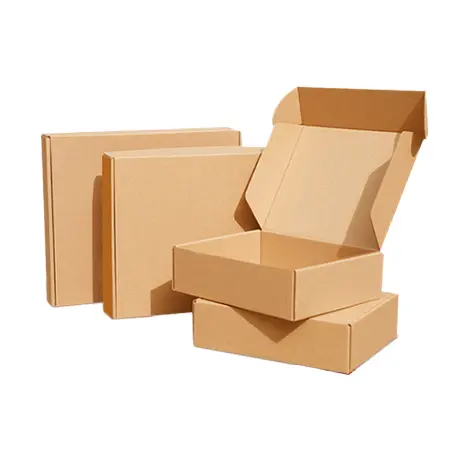 Kraft Apparel Packaging 