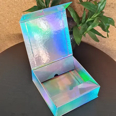 Holographic Rigid Boxes 