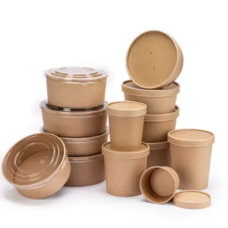 Disposable Food Containers 