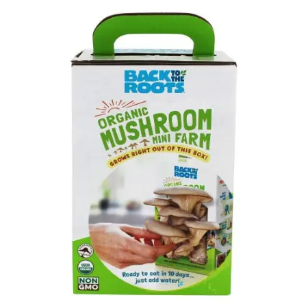 Mushroom Boxes 